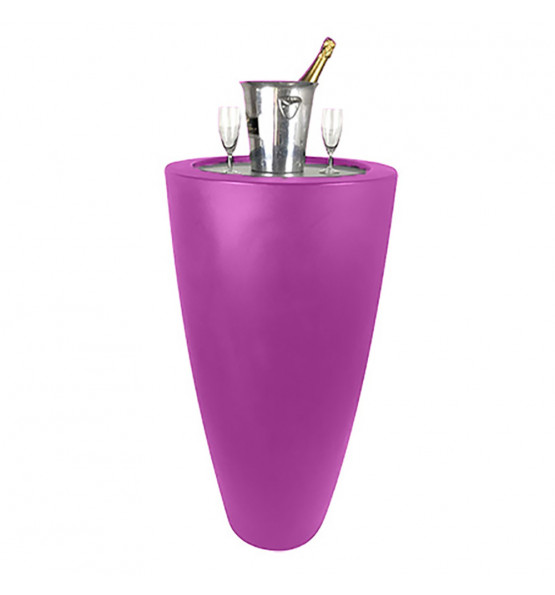 POT CONIQUE 3 EN 1POT DE FLEURS- MANGE DEBOUT-SEAU A CHAMPAGNE DESSUS INOX