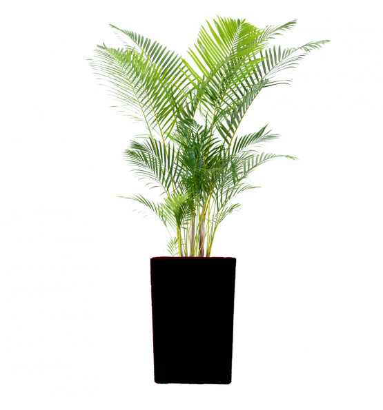 POT DE FLEURS CUBIQUE  SUERTE HAUTEUR 67 CM