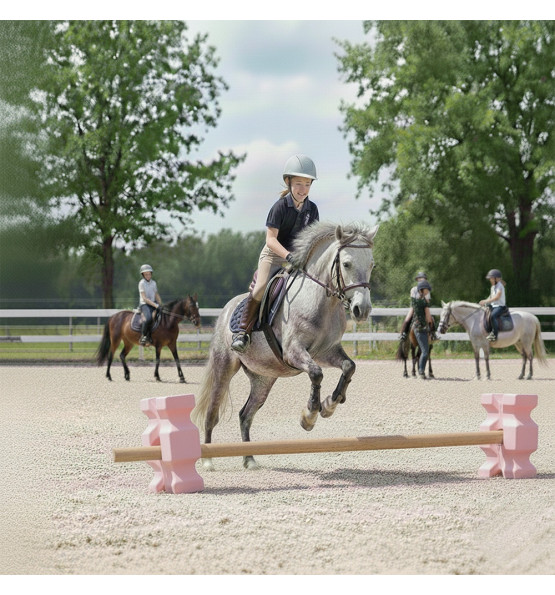 Cavaletti / obstacle block riding 