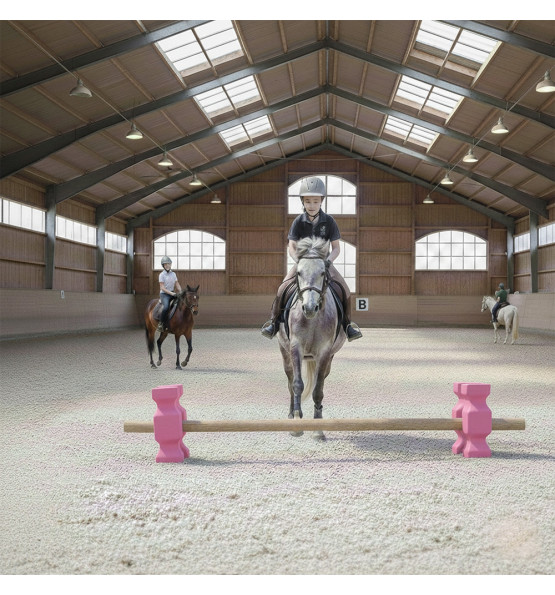 Cavaletti / obstacle block riding 