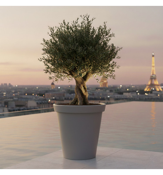 Pot de fleurs rond XXL Delight 200L 