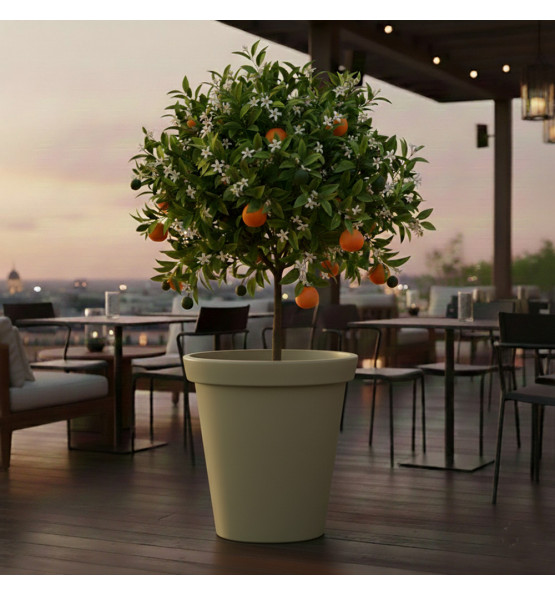 Pot de fleurs rond XXL Delight 200L 