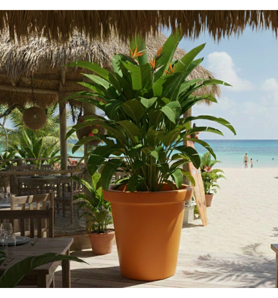 Pot de fleurs rond XXL Delight 420L