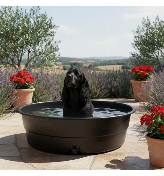 Bassin 500L pour animaux