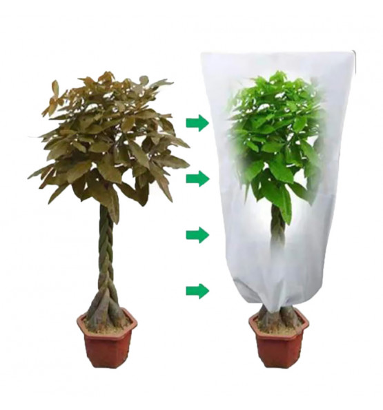 Couverture de protection pour plantes - Petit arbre 80x100 cm