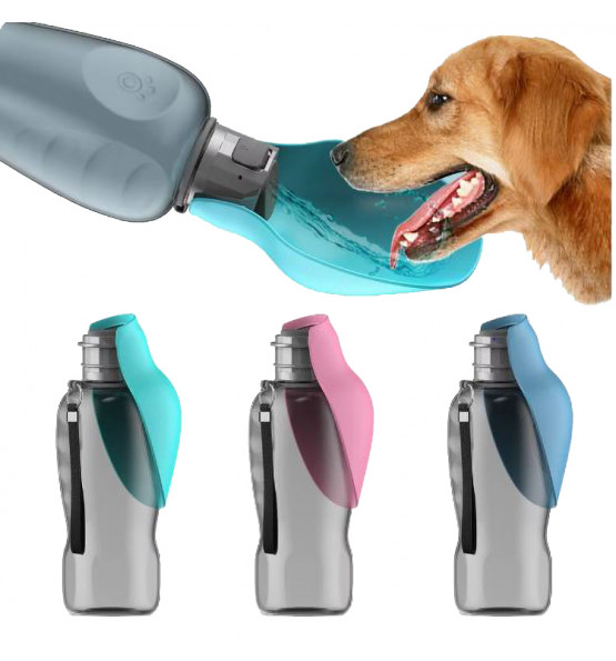 Gourde pour chien