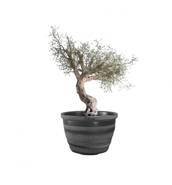 Pot de fleurs LIGNUM 55