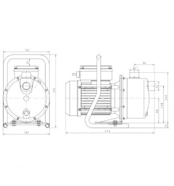 Pompe pour cuve de stockage d'eau Garden 1000