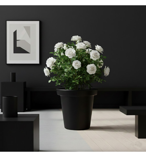 Pot de fleurs rond XXL Delight 75L- Lot de 2