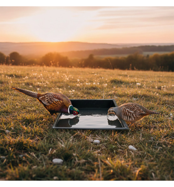 Abreuvoir avec une pente pour animaux sauvages