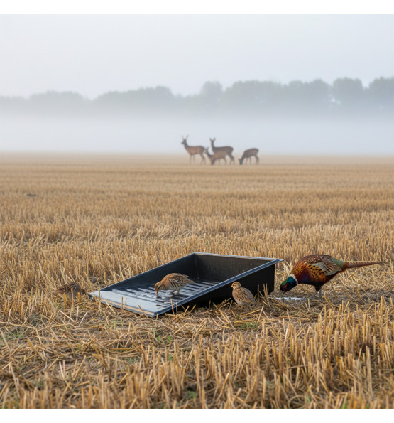 Abreuvoir avec une pente pour animaux sauvages