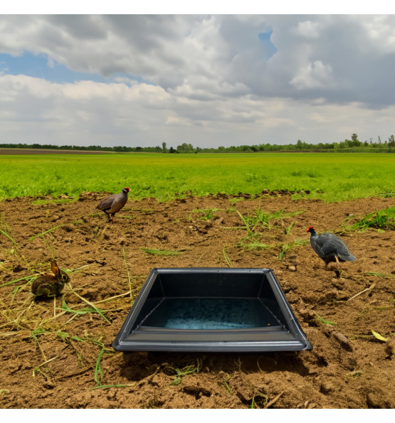 Abreuvoir avec une pente pour animaux sauvages-Lot de 5