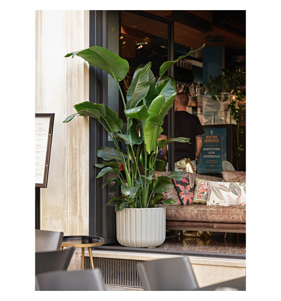 Pot de fleurs ECHO 50L