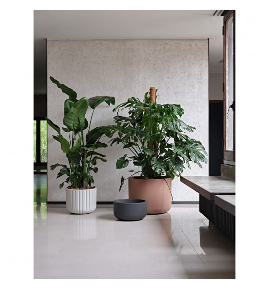 Pot de fleurs ECHO 50L