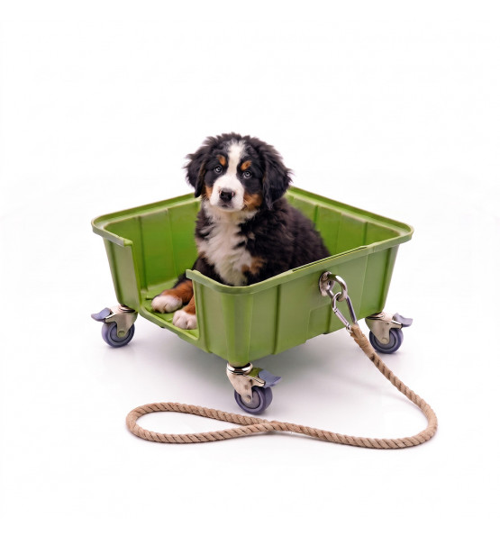 Chariot pour chien Canicar-Plast'Up Rotomoulage