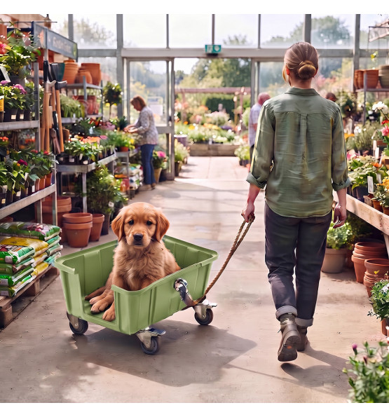 Chariot pour chien Canicar-Plast'Up Rotomoulage