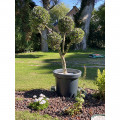 POT DE FLEURS ROND XXL DELIGHT 75L 