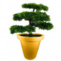 POT DE FLEURS ROND XXL DELIGHT 760L 