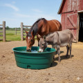 Abreuvoir pour vache et cheval 900L