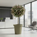 Pot de fleurs rond XXL Delight 200L 