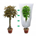 Couverture de protection pour plantes - Petit arbre 60x80 cm