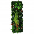 TROPICALE