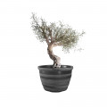 Pot de fleurs LIGNUM 55