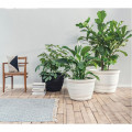 Pot de fleurs LIGNUM 55