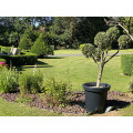 Pot de fleurs rond XXL Delight 75L- Lot de 2