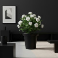 Pot de fleurs rond XXL Delight 75L- Lot de 2