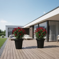 Pot de fleurs rond XXL Delight 75L- Lot de 2