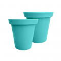 MENTHE