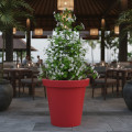Pot de fleurs rond XXL Delight 200L - Lot de 2 - Plast'Up Rotomoulage