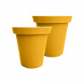JAUNE MANGUE