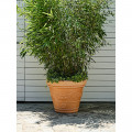 Pot de fleurs Festonato 85L