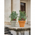 Pot de fleur Festonato 125l