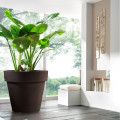 Pot de fleurs rond XXL standard one 1079L