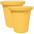 Jaune Mangue