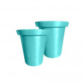 Menthe