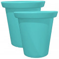 Menthe