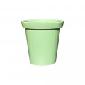 VERT AMANDE