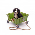 Chariot pour chien Canicar-Plast'Up Rotomoulage